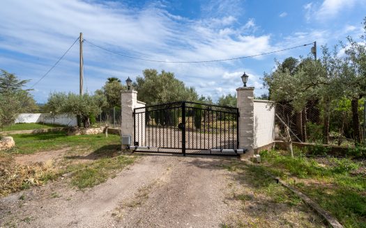 Charming countryside villa (210)