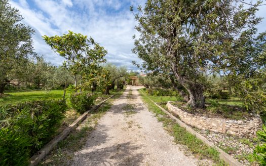 Charming countryside villa (210)