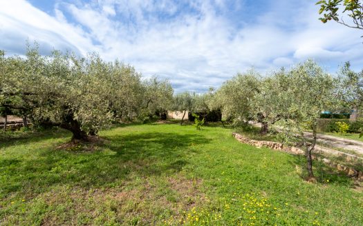 Charming countryside villa (210)