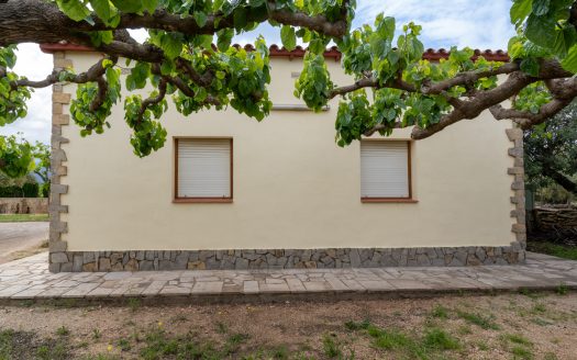 Charming countryside villa (210)