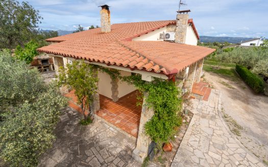 Charming countryside villa (210)