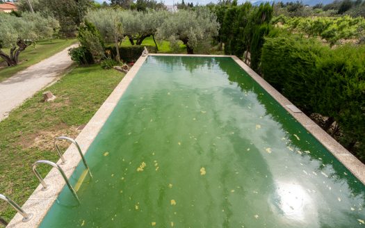 Charming countryside villa (210)
