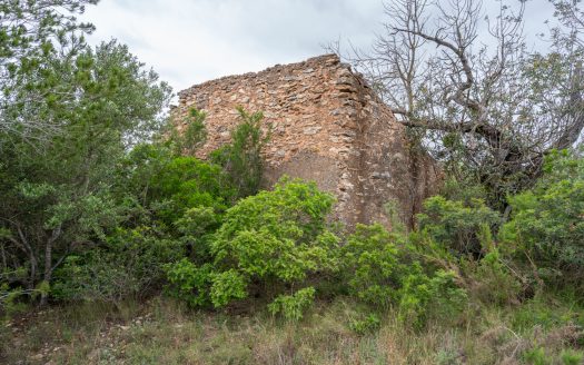 Vegetació autòctona (211)