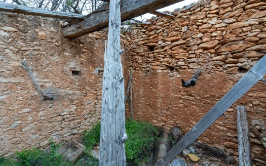 Vegetació autòctona (211)