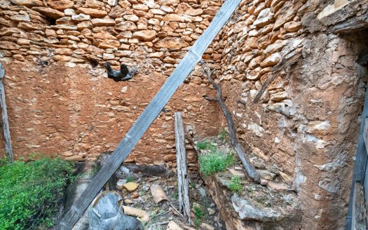 Vegetació autòctona (211)