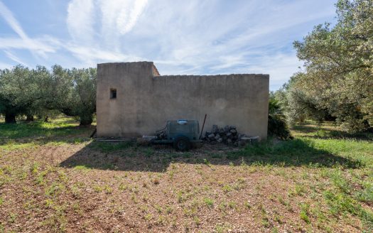 A large property (215)
