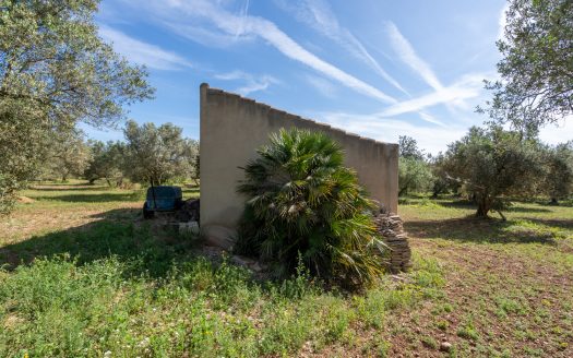 A large property (215)