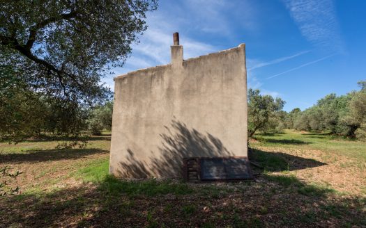 A large property (215)