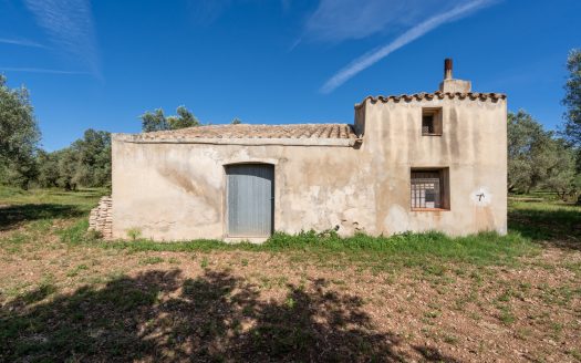 A large property (215)