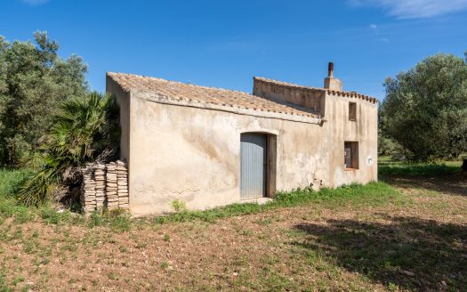 A large property (215)