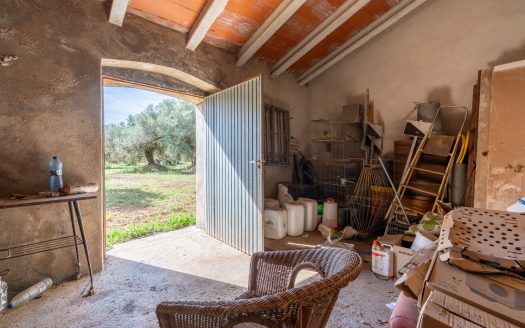 A large property (215)