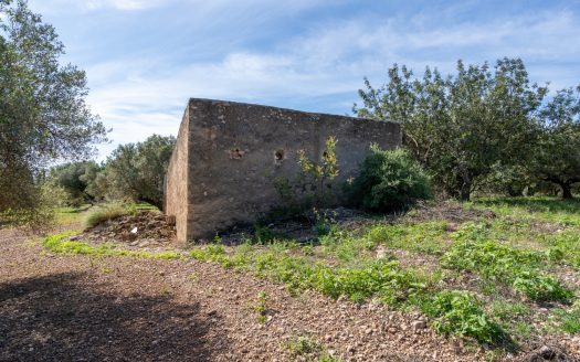 A large property (215)