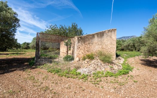 A large property (215)
