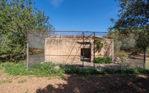 A large property (215)