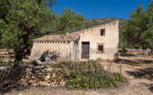 Located on the mountainside (216)