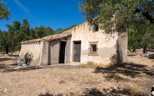 Located on the mountainside (216)