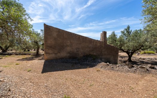 Located on the mountainside (216)