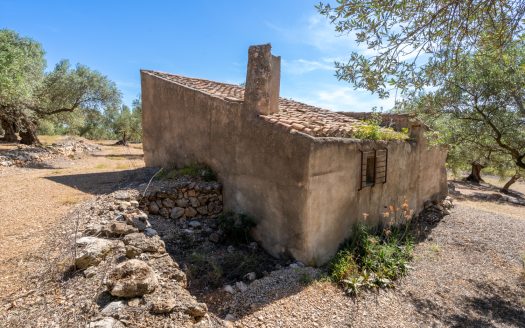 Located on the mountainside (216)