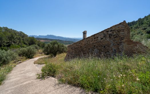 Finca ben comunicada (221)
