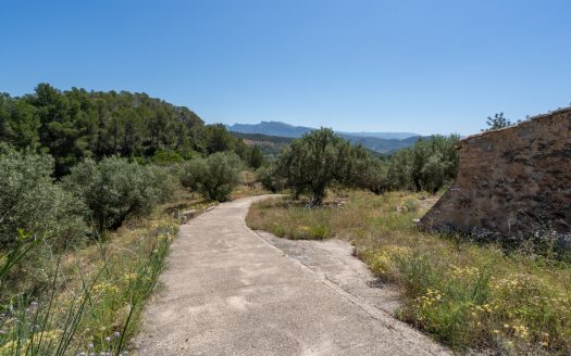 Finca ben comunicada (221)