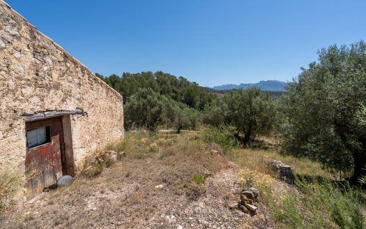 Finca ben comunicada (221)