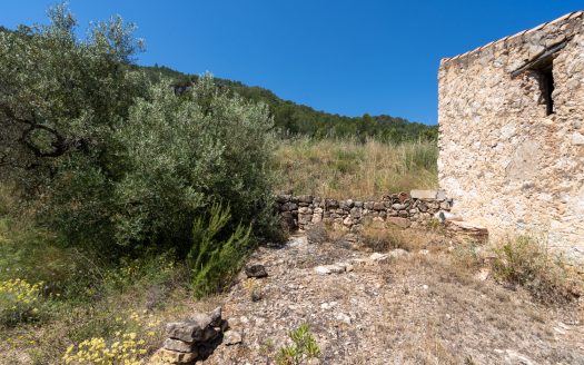 Finca ben comunicada (221)