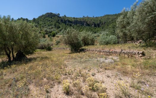 Finca ben comunicada (221)