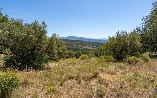 Finca ben comunicada (221)