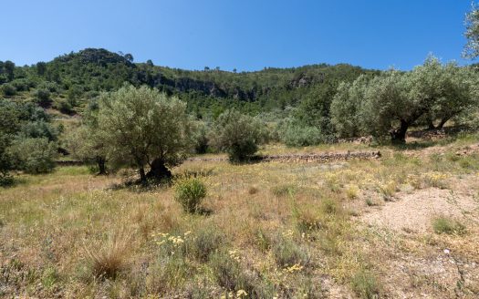 Finca ben comunicada (221)