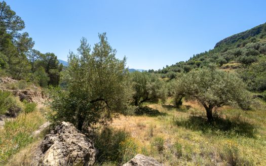 Finca ben comunicada (221)