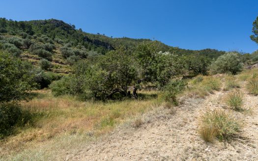 Finca ben comunicada (221)