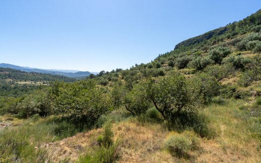 Finca ben comunicada (221)