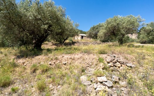 Finca ben comunicada (221)