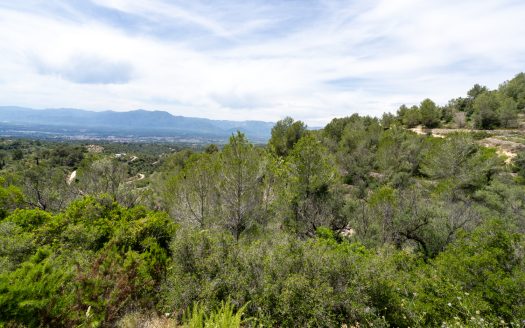 Plot with spectacular views and natural shrubland (224)