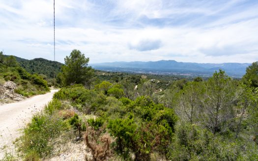 Plot with spectacular views and natural shrubland (224)