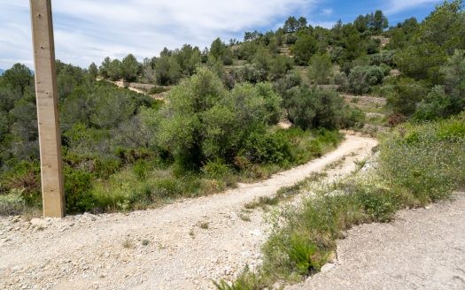 Plot with spectacular views and natural shrubland (224)