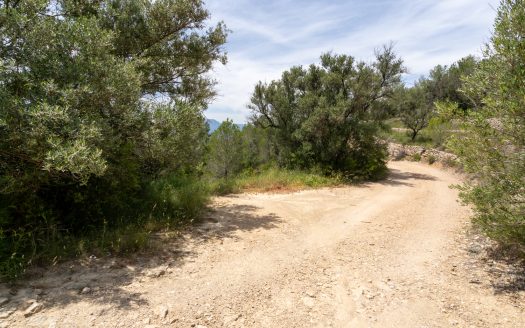 Plot with spectacular views and natural shrubland (224)