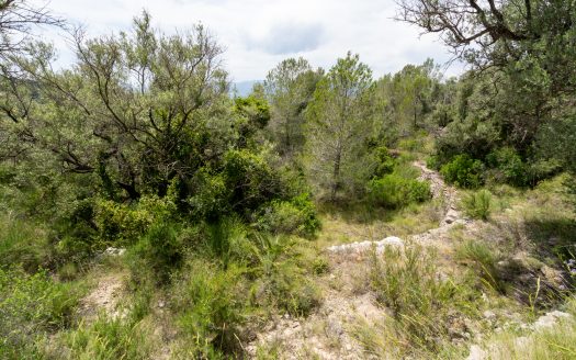 Plot with spectacular views and natural shrubland (224)