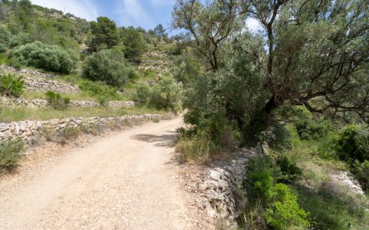 Plot with spectacular views and natural shrubland (224)