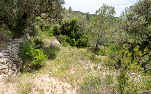Plot with spectacular views and natural shrubland (224)