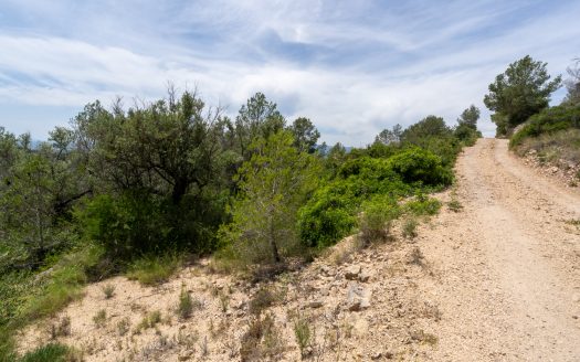 Plot with spectacular views and natural shrubland (224)