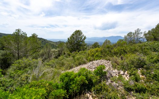 Plot with spectacular views and natural shrubland (224)
