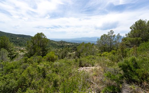 Plot with spectacular views and natural shrubland (224)