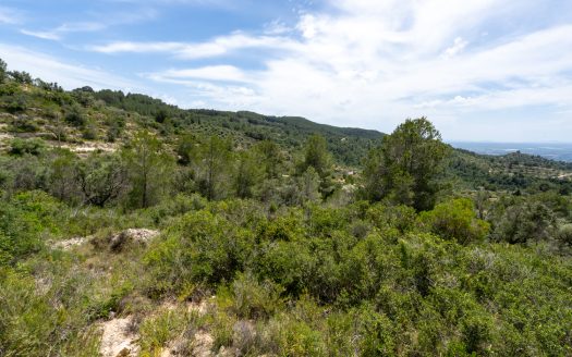 Plot with spectacular views and natural shrubland (224)