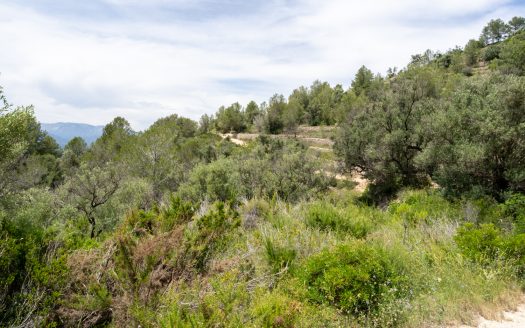 Plot with spectacular views and natural shrubland (224)