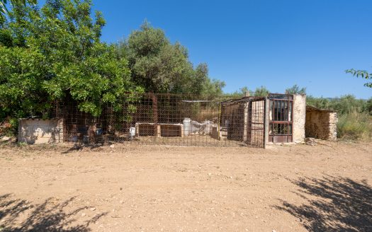 A very manageable property (229)