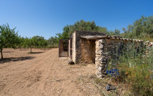 A very manageable property (229)