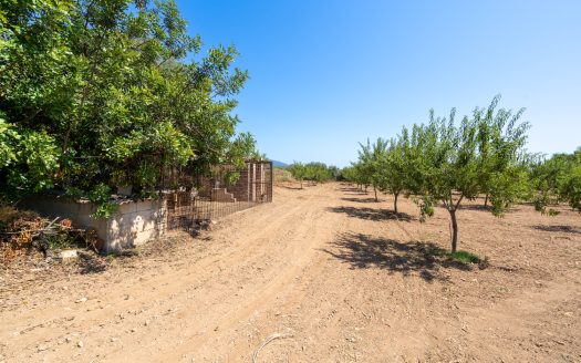 A very manageable property (229)