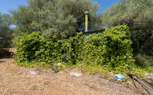 A plot with small construction (230)