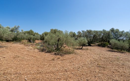 A plot with small construction (230)